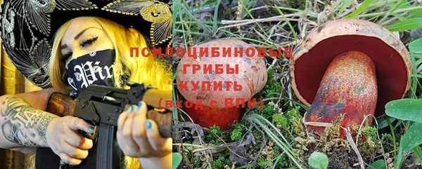 хмурый Аркадак
