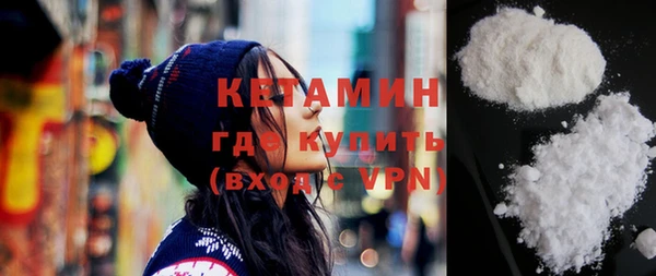 хмурый Аркадак