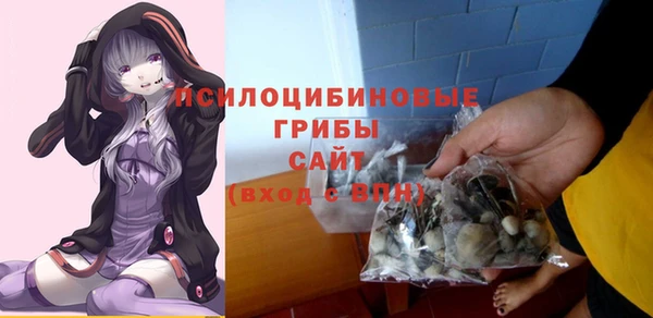 амф Арсеньев