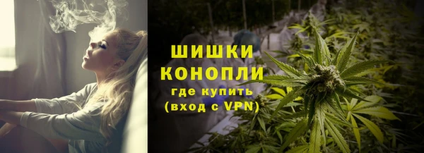хмурый Аркадак