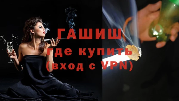 хмурый Аркадак