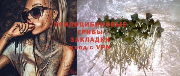стафф Армянск