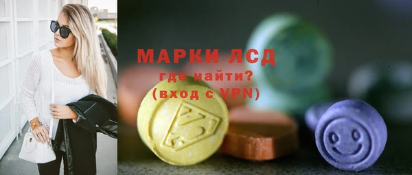 хмурый Аркадак