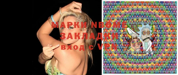 хмурый Аркадак