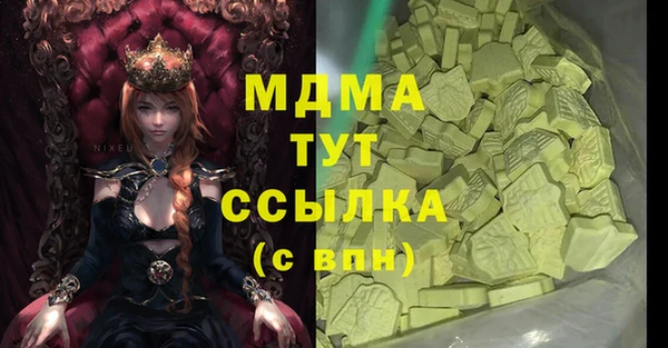 хмурый Аркадак