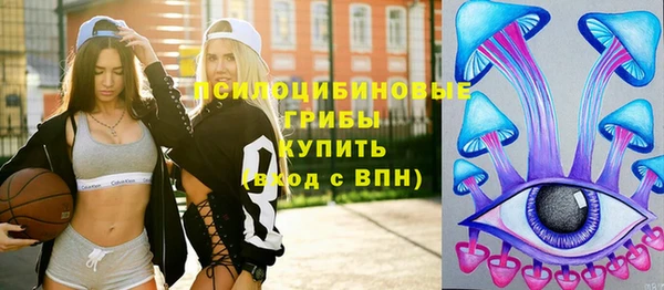 хмурый Аркадак