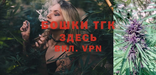 хмурый Аркадак