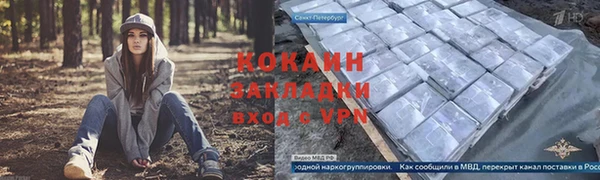 хмурый Аркадак